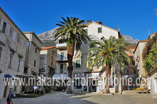 Wakacje w Chorwacji, Makarska Apartamenty Darko